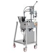 Filling-capping machine for spouted pouches