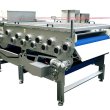Bandpresse PT 1200 für Obst und Gemüse